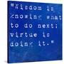 Inspirational Quote By David Star Jordan On Earthy Blue Background-nagib-Stretched Canvas