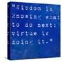 Inspirational Quote By David Star Jordan On Earthy Blue Background-nagib-Stretched Canvas