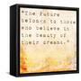 Inspirational Quote By Eleanor Roosevelt On Earthy Background-nagib-Framed Stretched Canvas