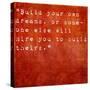 Inspirational Quote By Farrah Gray On Earthy Red Background-nagib-Stretched Canvas