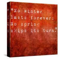 Inspirational Quote By Hal Borland On Earthy Red Background-nagib-Stretched Canvas