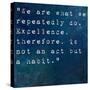 Inspirational Quote By On Earthy Background-nagib-Stretched Canvas