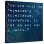 Inspirational Quote By On Earthy Background-nagib-Stretched Canvas