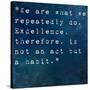 Inspirational Quote By On Earthy Background-nagib-Stretched Canvas