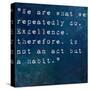 Inspirational Quote By On Earthy Background-nagib-Stretched Canvas