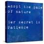 Inspirational Quote By Ralph Waldo Emmerson On Earthy Blue Background-nagib-Stretched Canvas