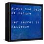 Inspirational Quote By Ralph Waldo Emmerson On Earthy Blue Background-nagib-Framed Stretched Canvas