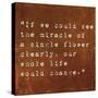 Inspirational Quote By Siddhartha Gautama (The Buddha) On Earthy Background-nagib-Stretched Canvas