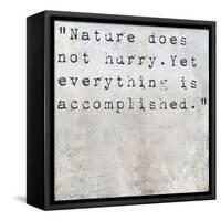 Inspirational Quote Lao Tzu By On Earthy Background-nagib-Framed Stretched Canvas