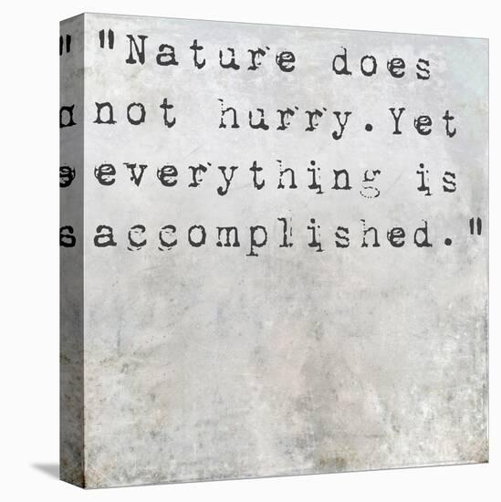 Inspirational Quote Lao Tzu By On Earthy Background-nagib-Stretched Canvas