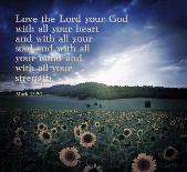 Mark 12:30 Love the Lord Your God (Sunflowers)-Inspire Me-Art Print