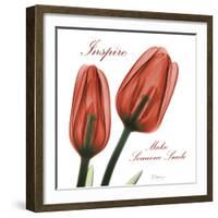 Inspire Tulips-Albert Koetsier-Framed Photographic Print