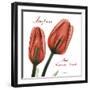 Inspire Tulips-Albert Koetsier-Framed Photographic Print