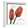 Inspire Tulips-Albert Koetsier-Framed Photographic Print