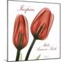 Inspire Tulips-Albert Koetsier-Mounted Photographic Print