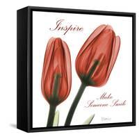 Inspire Tulips-Albert Koetsier-Framed Stretched Canvas