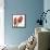 Inspire Tulips-Albert Koetsier-Framed Stretched Canvas displayed on a wall