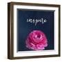 Inspire-Susannah Tucker-Framed Art Print