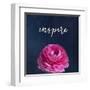 Inspire-Susannah Tucker-Framed Art Print