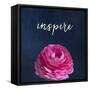 Inspire-Susannah Tucker-Framed Stretched Canvas