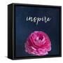 Inspire-Susannah Tucker-Framed Stretched Canvas