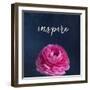 Inspire-Susannah Tucker-Framed Art Print