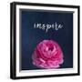 Inspire-Susannah Tucker-Framed Art Print