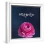 Inspire-Susannah Tucker-Framed Art Print