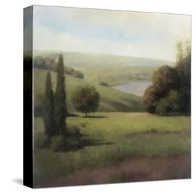 Inspired Hillsides II-Udell-Stretched Canvas