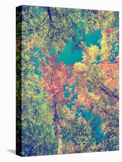 Instagram Autumn Leaves-SHS Photography-Stretched Canvas