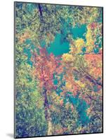 Instagram Autumn Leaves-SHS Photography-Mounted Photographic Print