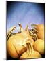 Instagram Filtered Image of a Pile of Pumpkins-pablo guzman-Mounted Photographic Print