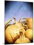 Instagram Filtered Image of a Pile of Pumpkins-pablo guzman-Mounted Photographic Print