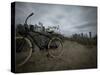 Instagram Filtered Image of a Vintage Bicycle and Sand Dunes on the Beach-pablo guzman-Stretched Canvas
