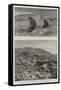 Instantaneous Photography in the Southern Seas-null-Framed Stretched Canvas