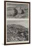 Instantaneous Photography in the Southern Seas-null-Framed Giclee Print