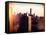 Instants of NY Series - NYC Cityscape with the One World Trade Center (1WTC) at Sunset-Philippe Hugonnard-Framed Stretched Canvas