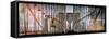 Instants of NY Series - Panoramic View of the Brooklyn Bridge in New York-Philippe Hugonnard-Framed Stretched Canvas