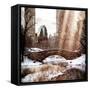 Instants of NY Series - Snowy Gapstow Bridge of Central Park, Manhattan in New York City-Philippe Hugonnard-Framed Stretched Canvas