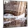 Instants of NY Series - the Gapstow Bridge of Central Park in Winter, Manhattan in New York City-Philippe Hugonnard-Mounted Photographic Print