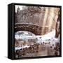 Instants of NY Series - the Gapstow Bridge of Central Park in Winter, Manhattan in New York City-Philippe Hugonnard-Framed Stretched Canvas