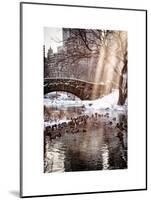 Instants of NY Series - the Gapstow Bridge of Central Park in Winter, Manhattan in New York City-Philippe Hugonnard-Mounted Art Print