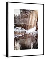 Instants of NY Series - the Gapstow Bridge of Central Park in Winter, Manhattan in New York City-Philippe Hugonnard-Framed Stretched Canvas