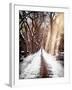 Instants of NY Series - Walking on a Path in Central Park in Winter-Philippe Hugonnard-Framed Photographic Print