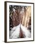 Instants of NY Series - Walking on a Path in Central Park in Winter-Philippe Hugonnard-Framed Photographic Print