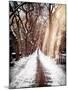 Instants of NY Series - Walking on a Path in Central Park in Winter-Philippe Hugonnard-Mounted Photographic Print