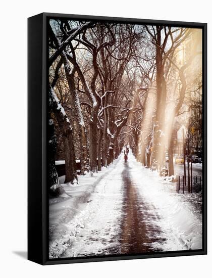 Instants of NY Series - Walking on a Path in Central Park in Winter-Philippe Hugonnard-Framed Stretched Canvas