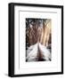 Instants of NY Series - Walking on a Path in Central Park in Winter-Philippe Hugonnard-Framed Art Print