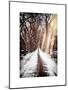 Instants of NY Series - Walking on a Path in Central Park in Winter-Philippe Hugonnard-Mounted Art Print