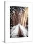 Instants of NY Series - Walking on a Path in Central Park in Winter-Philippe Hugonnard-Stretched Canvas